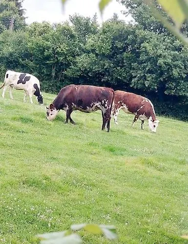 Longere De Charme, Calme Et Nature Dans Le Perche Semesterbostad Val-au-Perche
