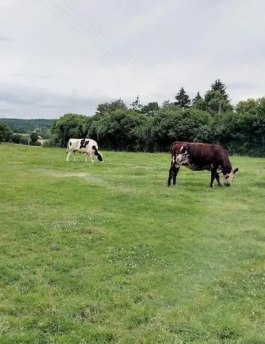 Longere De Charme, Calme Et Nature Dans Le Perche Semesterbostad *